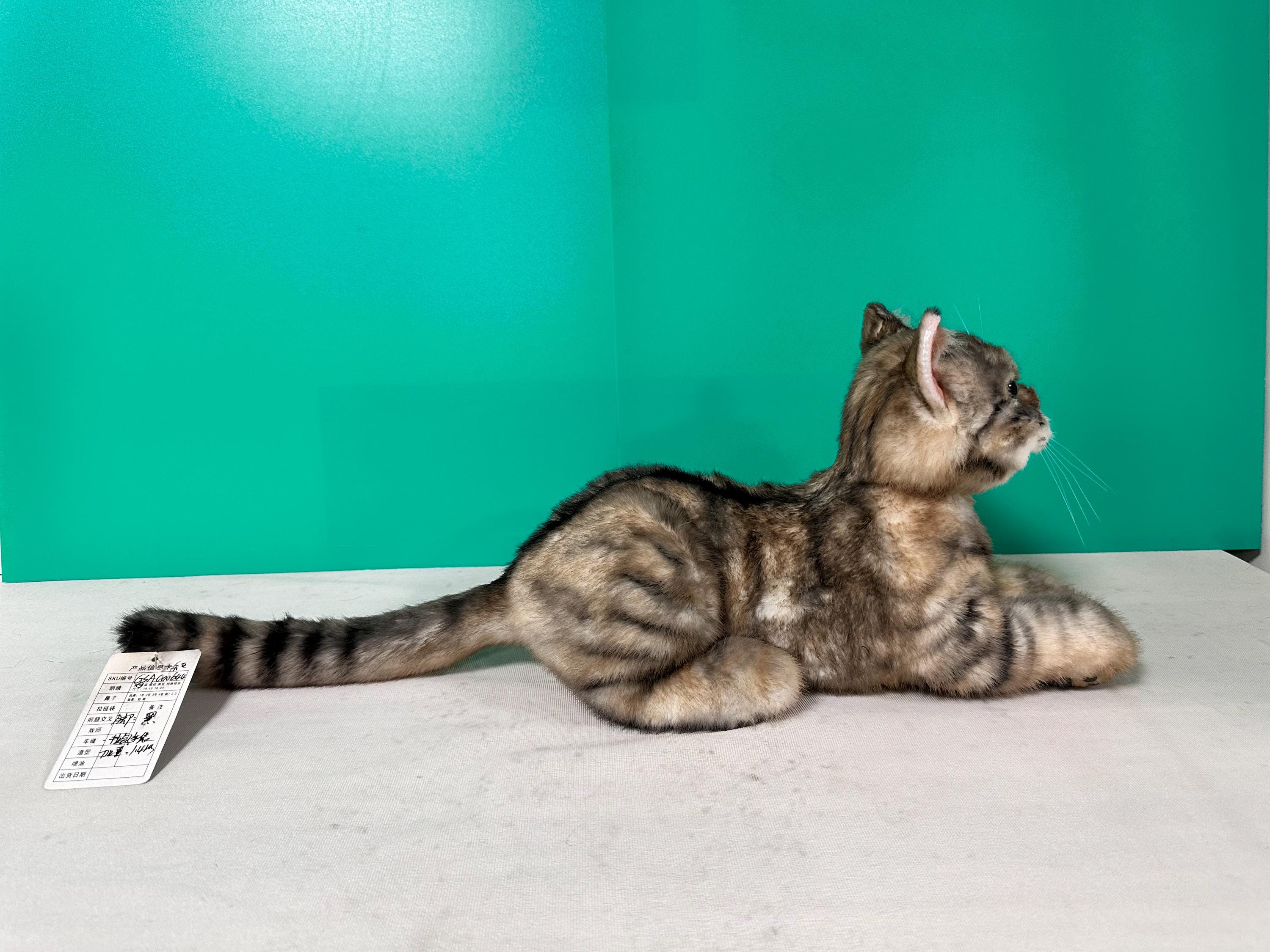手作りのアメリカンショートヘア猫のぬいぐるみ：リアルなコンパニオン