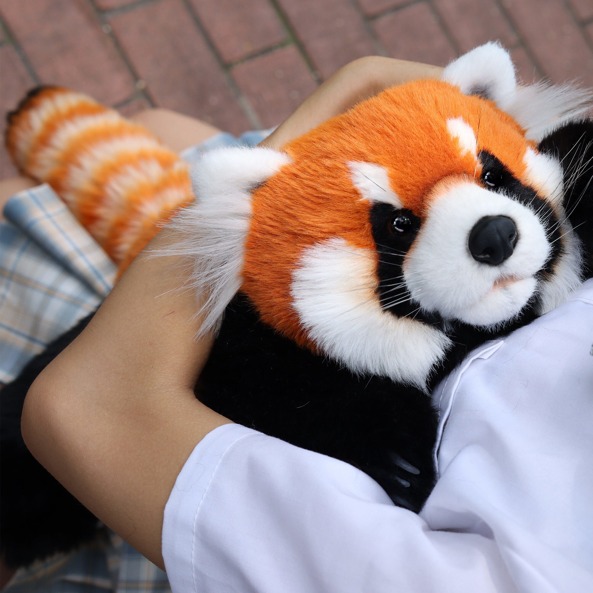 Panda roux Stuffed Animal: Panda roux Plush Squishy Soft Toy