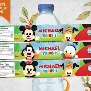 Cute Mouse Digital Water Bottle Label, Mouse Printable Bottle Wrapper, Boy Birthday Bottle Label, Kids Party Drink Label, Personalized Label