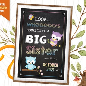 Owl Big Sister Pregnancy Announcement Digital Chalkboard, Baby Announcement Chalkboard Poster, Mom To Be Sign Board, Welcome Baby Chalk Sign