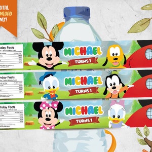 Cute Mouse Digital Water Bottle Label, Mouse Printable Bottle Wrapper, Boy Birthday Bottle Label, Kids Party Drink Label, Personalized Label