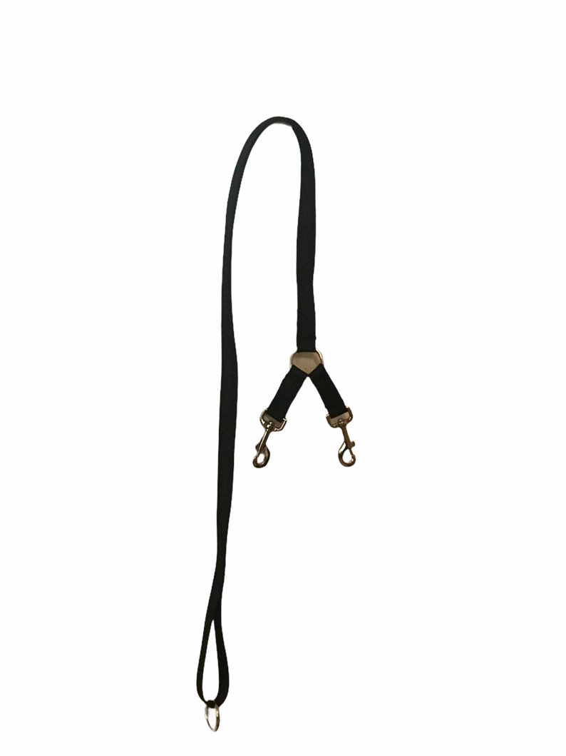 6 ft dog leash