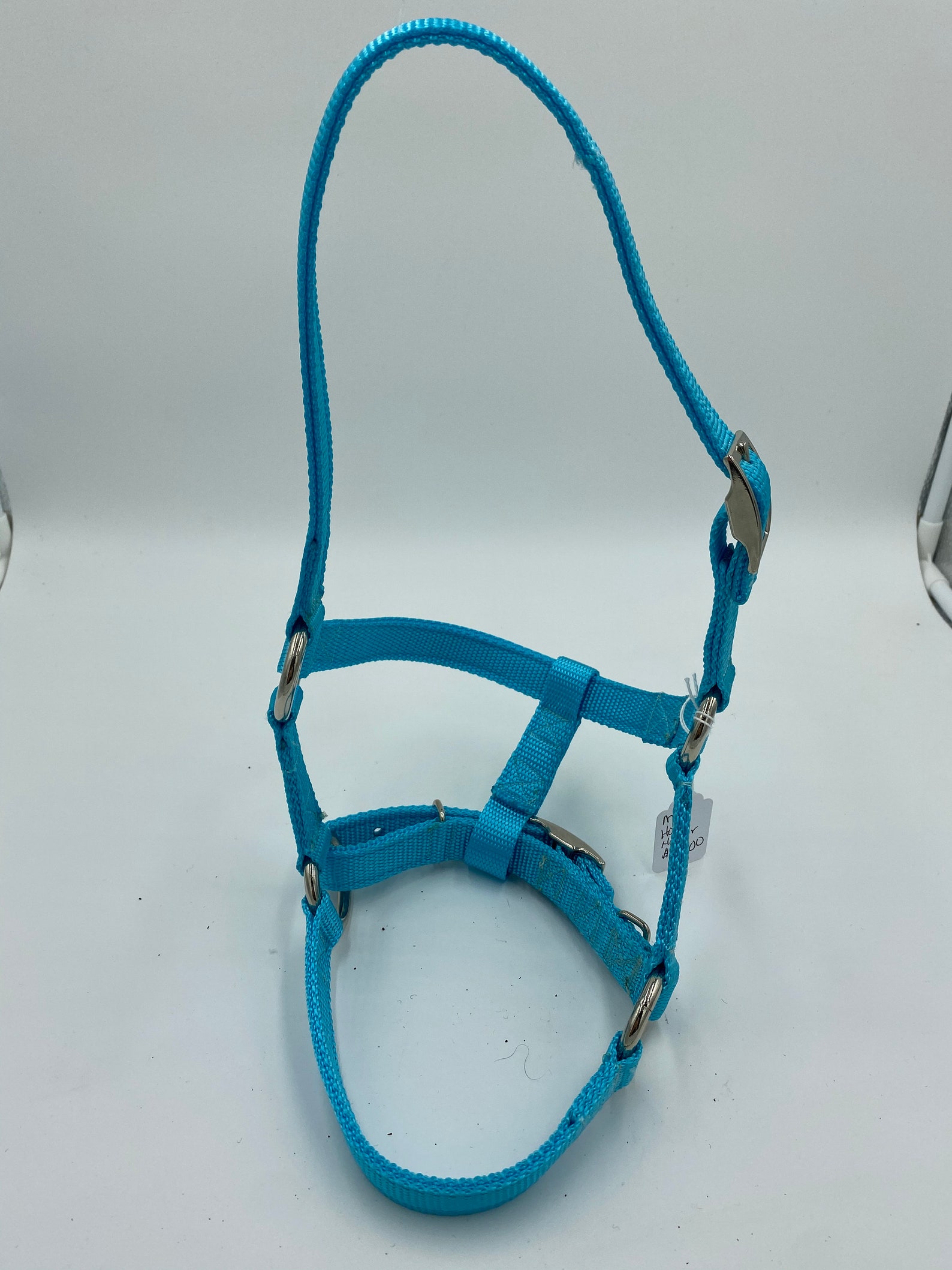 Cattle Halters Newborn Calf Yearling Cow and Bull Etsy