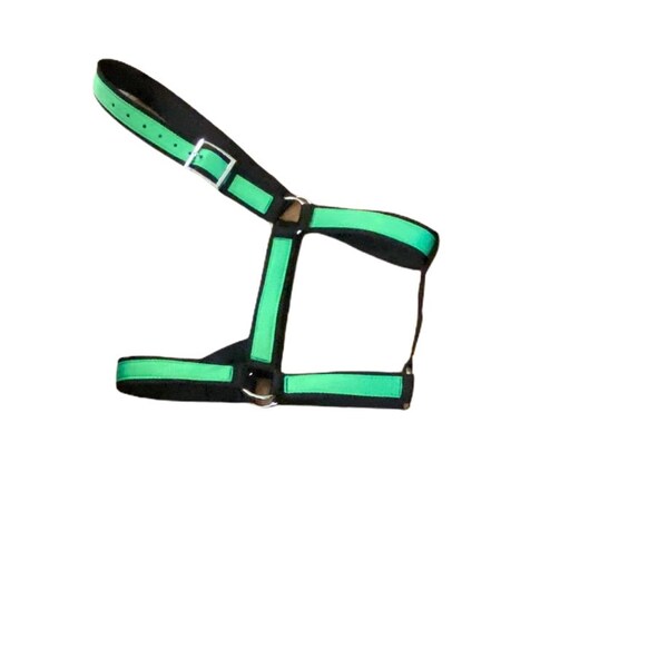 Draft Horse Halter Etsy