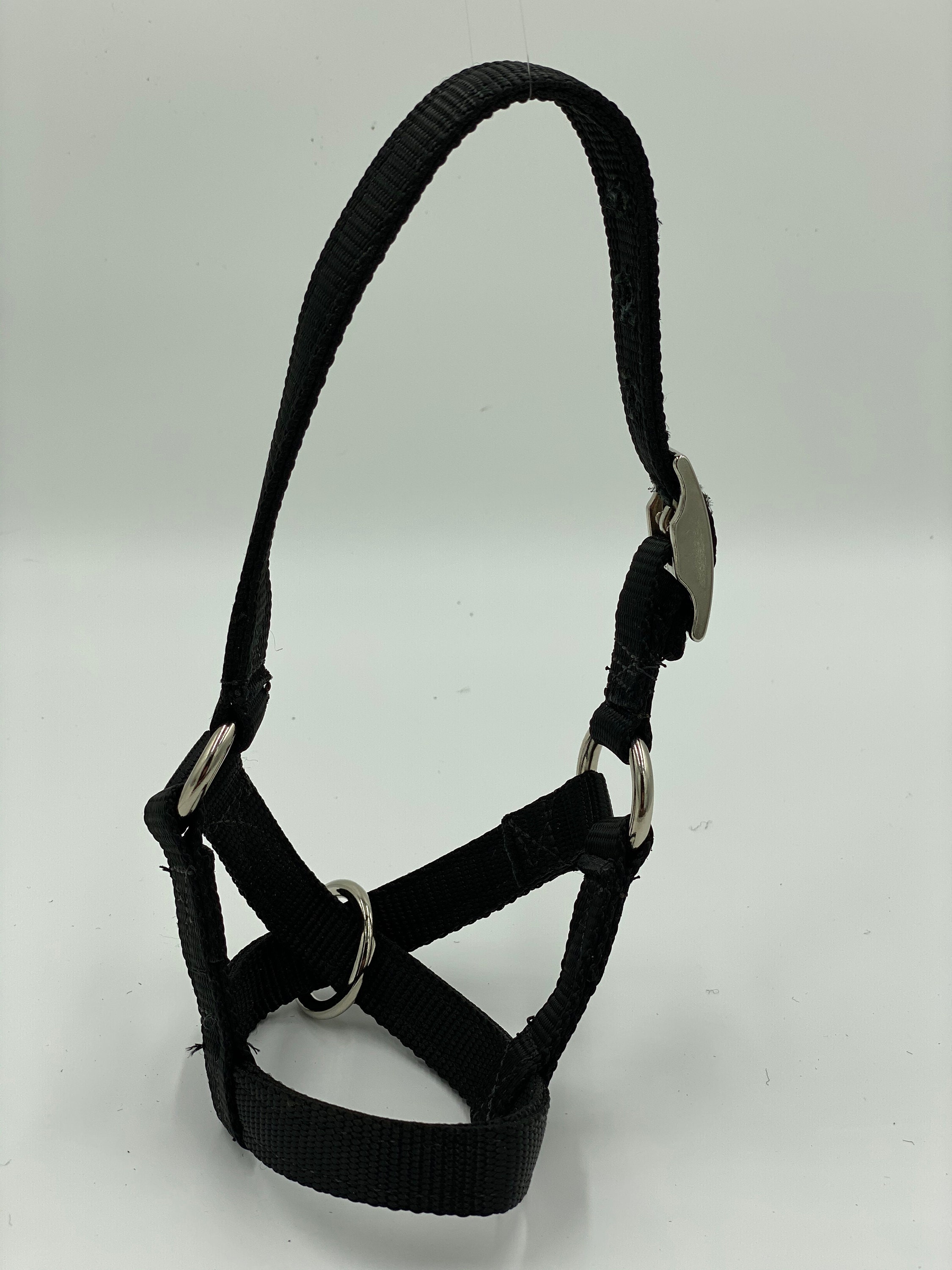 Cattle Halters Newborn Calf Yearling Cow and Bull Etsy