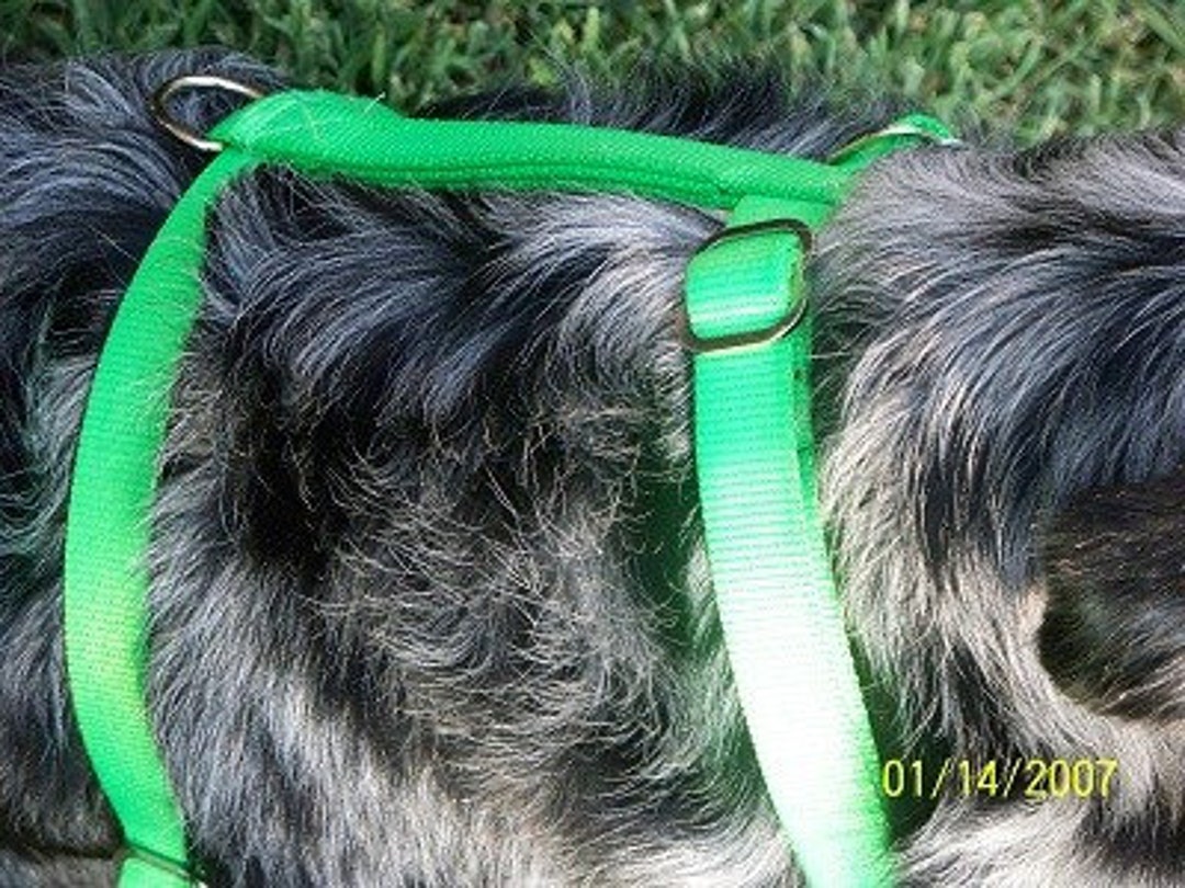 Adjustable Dog Harness Metal Buckle Strong bing USA Hand Made Etsy