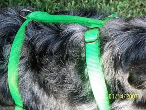 Dog harness metal clearance clasp