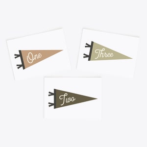 Cartes d'étape mensuelles Pennant | Cartes d'étape imprimables personnalisées | Cartes du mois de bébé | Cadeau de douche de bébé | Impression de drapeau de fanion