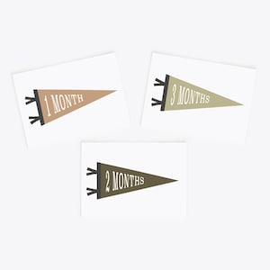 Cartes d'étape mensuelles Pennant | Cartes d'étape imprimables personnalisées | Cartes du mois de bébé | Cadeau de douche de bébé | Impression de drapeau de fanion