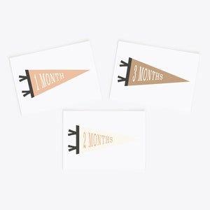 Cartes d'étape mensuelles Pennant | Cartes d'étape imprimables personnalisées | Cartes du mois de bébé | Cadeau de douche de bébé | Impression de drapeau de fanion