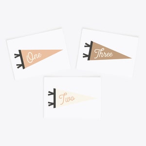 Cartes d'étape mensuelles Pennant | Cartes d'étape imprimables personnalisées | Cartes du mois de bébé | Cadeau de douche de bébé | Impression de drapeau de fanion