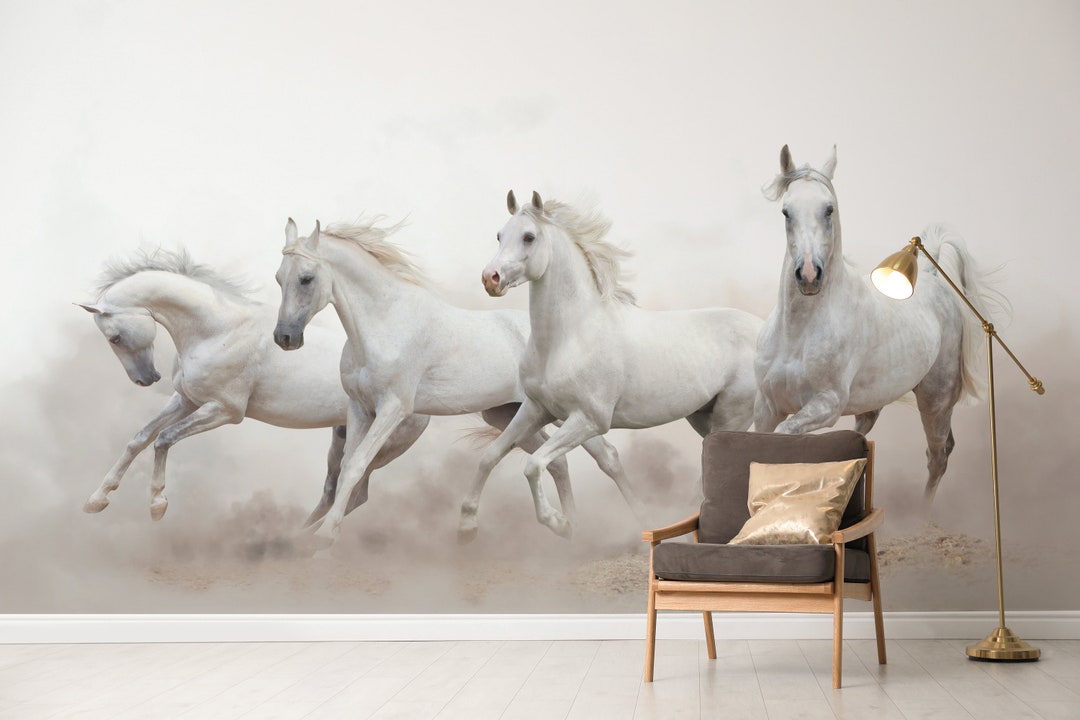 White Running Horse Wallpaper Murals Peel and Stick Majestic Equine