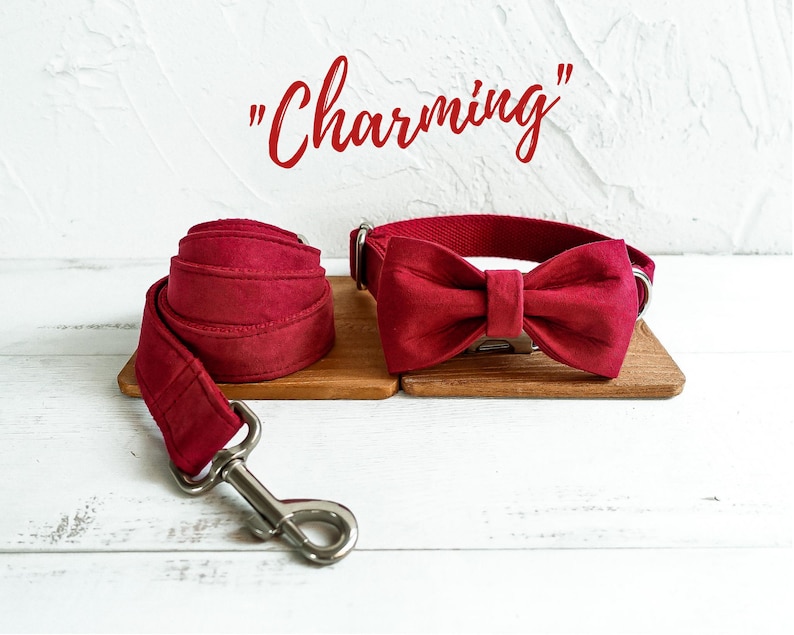 Op de afbeelding: Een rode hondenriem met een bijpassende strik. De riem is gemaakt van zacht, fluweelachtig materiaal en heeft een zilveren gesp. De strik is met een knoop aan de riem bevestigd. De tekst "Charming" is in rood boven de riem en de strik geschreven.