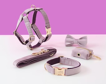 Personalized Dog Harness and Leash Set, Custom Lavender Velvet Dog Harness Collar Bowtie Poo Bag Holder, No Pull Harness for Boy Puppy
