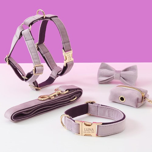 Personalized Step in Dog Harness and Leash Set Red Custom Etsy