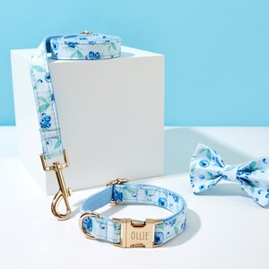 May include: A blue and white floral dog collar and leash set with a matching bow tie. The collar has a gold buckle with the name "Ollie" engraved on it.