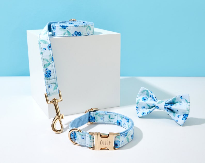 May include: A blue and white floral dog collar and leash set with a matching bow tie. The collar has a gold buckle with the name "Ollie" engraved on it.