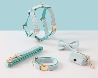Ensemble harnais et laisse pour chien personnalisés bleu aqua, harnais pour chien en velours, collier pour chien, noeud papillon, support pour sac caca, harnais sans traction pour chiot garçon et fille