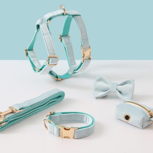 Aqua Blue gepersonaliseerde hondentuig en riem set, fluwelen hondentuig halsband Bowtie poepzakhouder, geen trektuig voor jongen en meisje puppy