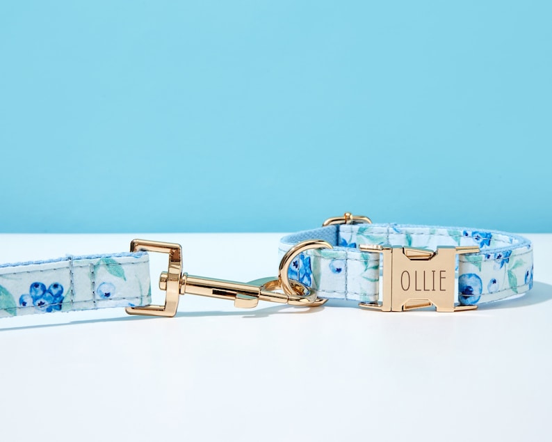 May include: A blue and white floral dog collar with a gold buckle that says "OLLIE". The collar is paired with a matching leash.