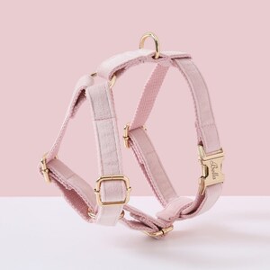 May include: A pink velvet dog harness with gold hardware and the name "Bella" engraved on the buckle.