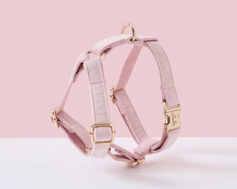 May include: A pink velvet dog harness with gold hardware and the name "Bella" engraved on the buckle.