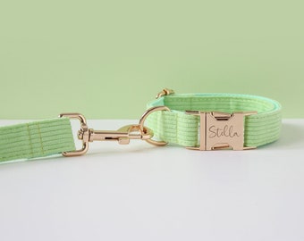 Engraved Lime Green Corduroy Dog Collar and Leash, Free Personalized Dog Collar Engraved Dog Collar and Leash , Green Velvet