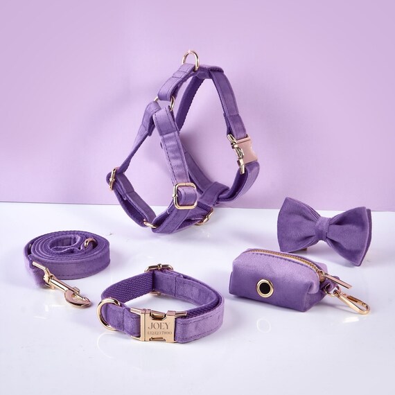 Personalized Dog Harness and Leash Set Purple Velvet Dog Etsy