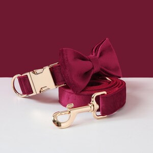 May include: Burgundy velvet dog collar and leash set with gold hardware. The collar has a buckle closure and the leash has a hook.