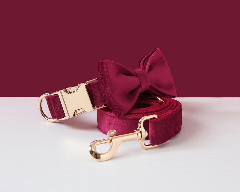 May include: Burgundy velvet dog collar and leash set with gold hardware. The collar has a buckle closure and the leash has a hook.
