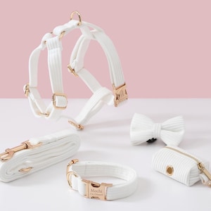 May include: A white dog harness, leash, collar, bow tie, and waste bag dispenser set. The set features gold-colored hardware and a corduroy texture. The collar is engraved with the name "Mochi" and the phrase "I'm Chipped".