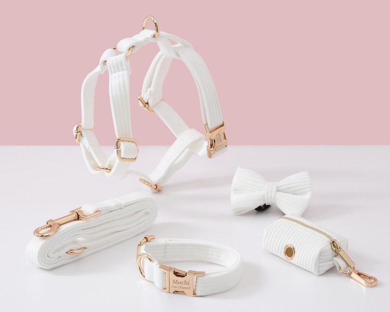 May include: A white dog harness, leash, collar, bow tie, and waste bag dispenser set. The set features gold-colored hardware and a corduroy texture. The collar is engraved with the name "Mochi" and the phrase "I'm Chipped".