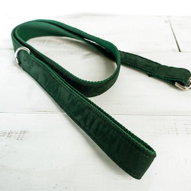 May include: A dark green dog leash with a silver metal clip.