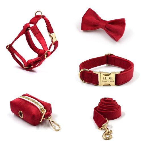 Grey Velvet Dog Harness and Leash Set Personalize Step in Etsy