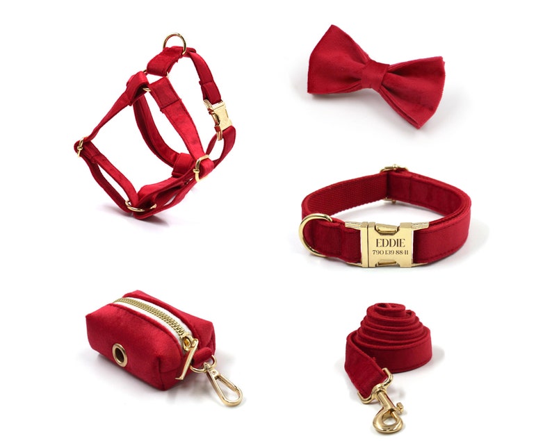 Personalized Step in Dog Harness and Leash Set Red Custom Etsy