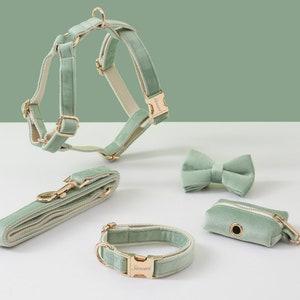 May include: A set of sage green velvet dog accessories including a harness, leash, collar, bow tie, and poop bag holder. The accessories feature gold hardware and the collar has the word "Stewart" engraved on it.