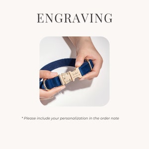 May include: A close-up of a blue and gold dog collar with a personalized engraved tag that reads "Loki".