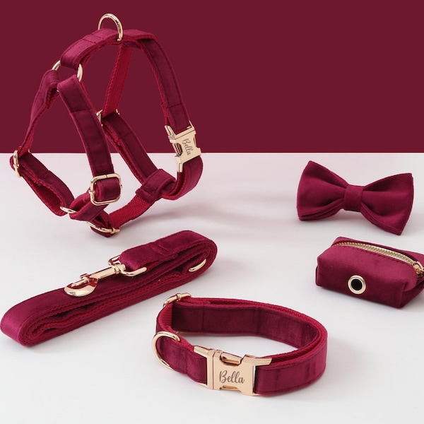 Ensemble harnais et laisse pour chien personnalisé, collier de harnais en velours bordeaux, porte-sac à caca avec nœud papillon, harnais sans traction pour chien chiot fille