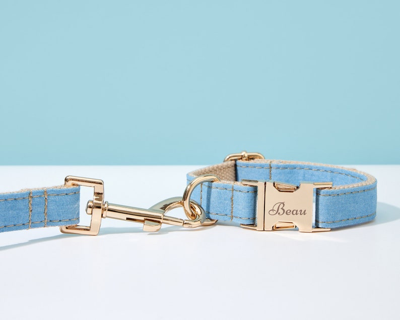 May include: A light blue dog collar with a gold buckle and a personalized inscription that reads "Beau". The collar is paired with a matching leash.