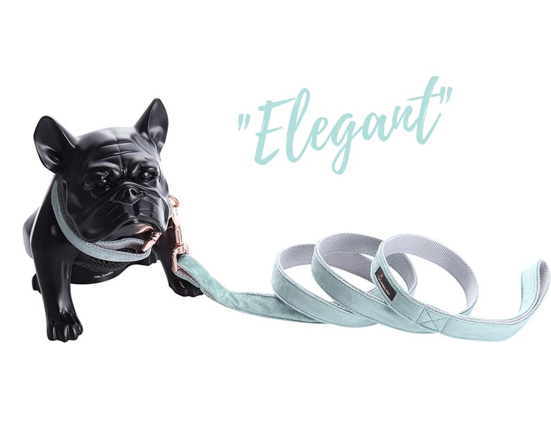 Green Dog Collar and Lead Designer Dog Collar Girl Dog Etsy