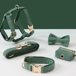 Ensemble harnais et laisse personnalisés pour chien, harnais pour chien en velours côtelé vert, collier noeud papillon, support pour sac caca, harnais sans traction pour chiot garçon
