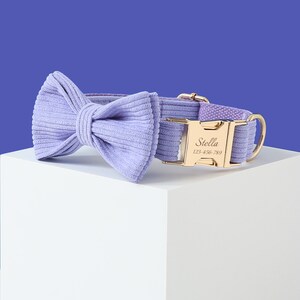 May include: A lavender corduroy dog collar with a gold buckle and a matching bow tie. The buckle is engraved with the name "Stella" and the phone number "123-456-7859".