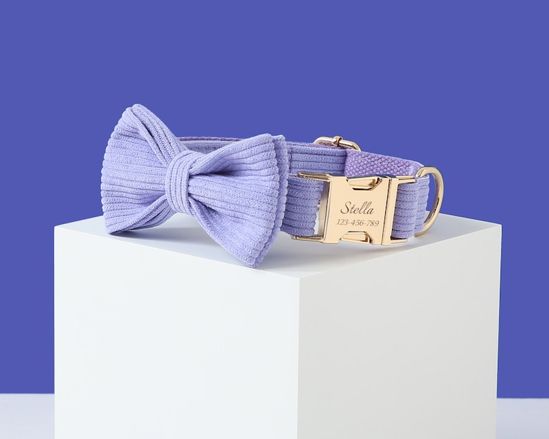 May include: A lavender corduroy dog collar with a gold buckle and a matching bow tie. The buckle is engraved with the name "Stella" and the phone number "123-456-7859".