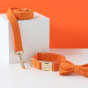 Orange Personalized Dog Collar  Set, Corduroy Dog Collar for Girl Female Dog, Wedding Dog Collar,Puppy Collar and Lead Bow,Free Shipping