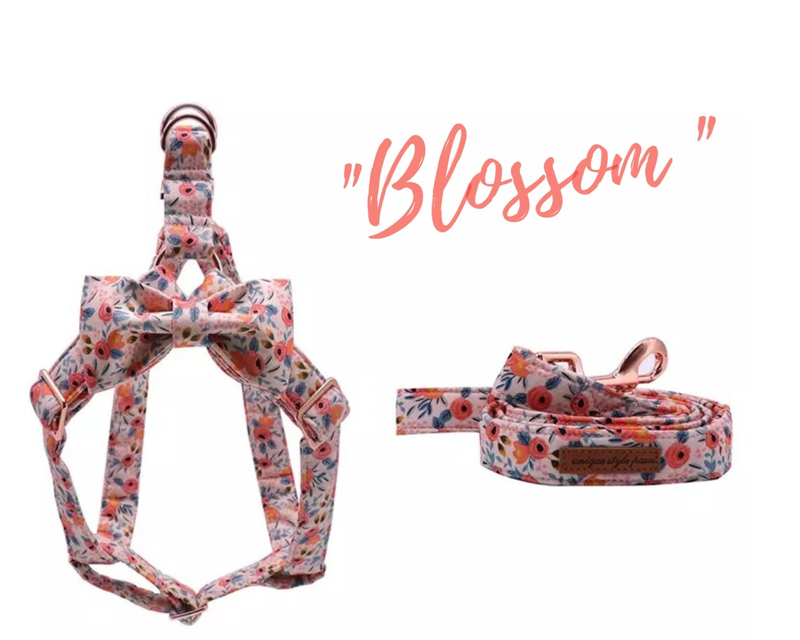 Girl Dog Harness Leash Dog Collar Harness No Pull Harness Etsy