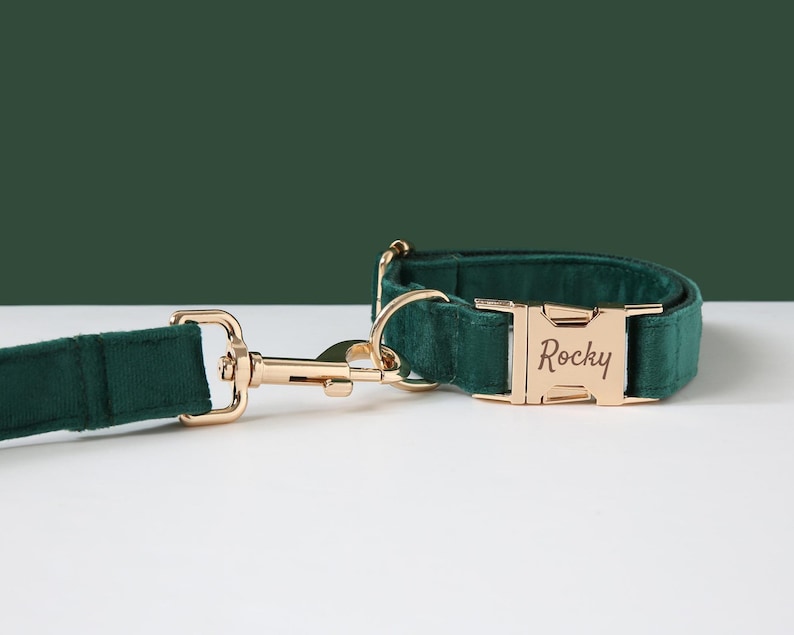 Personalized Dog Harness and Leash Set Green Custom Velvet Etsy