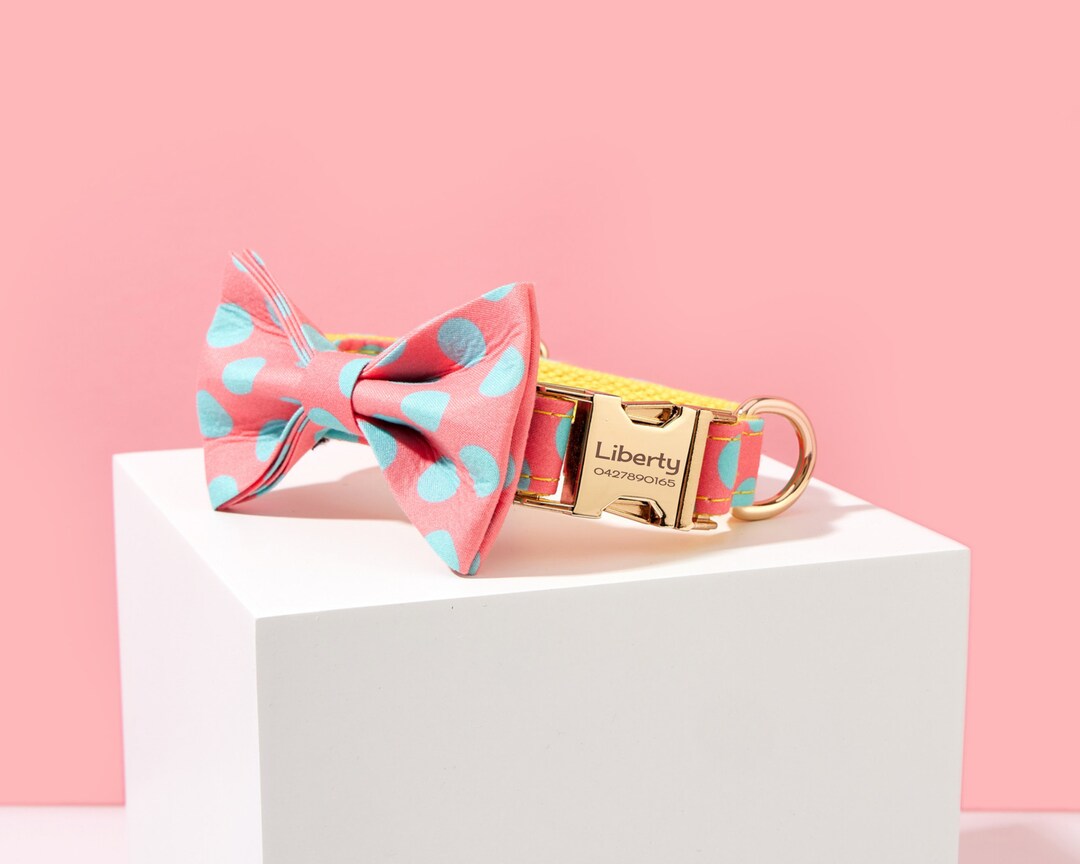 Polka Dot Dog Collar and Leash Set, Personalized Pet Name ID Engraved