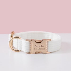 May include: A white dog collar with a gold-colored metal buckle and D-ring. The buckle is engraved with the name "Mochi" and the phrase "I'm Chipped". The collar is made of a soft, textured material.
