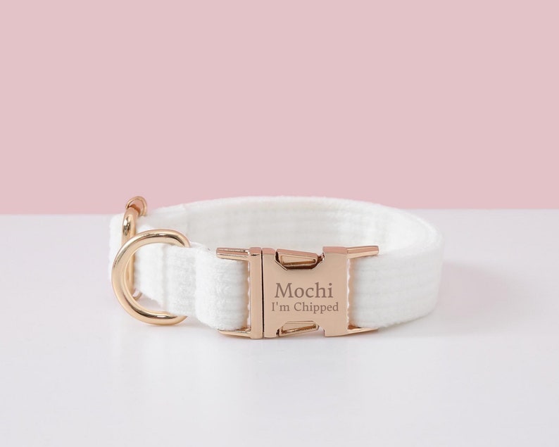 May include: A white dog collar with a gold-colored metal buckle and D-ring. The buckle is engraved with the name "Mochi" and the phrase "I'm Chipped". The collar is made of a soft, textured material.
