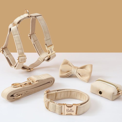 Personalized Dog Harness and Leash Set Green Custom Velvet Etsy